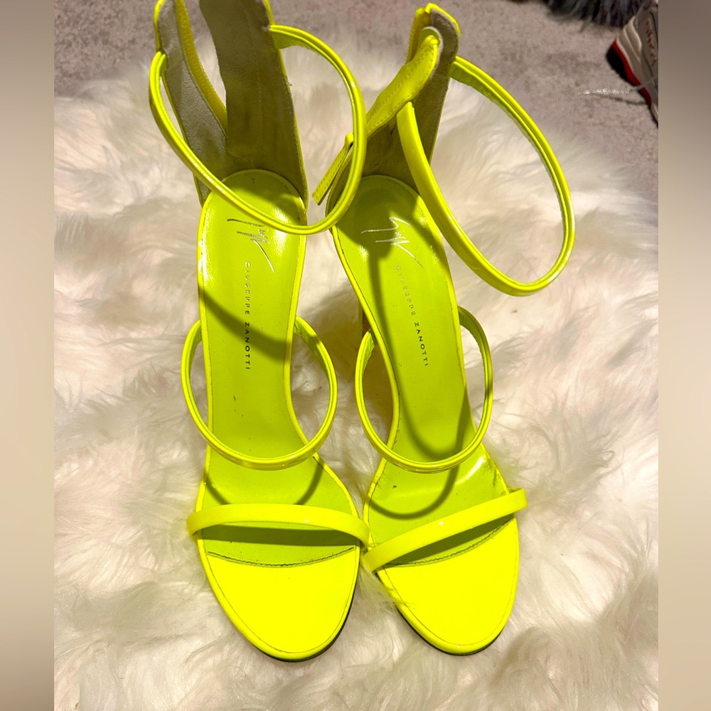 Giuseppe Zanotti